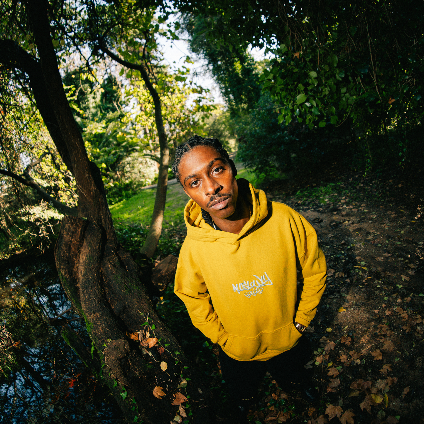 Mostard Hoodie